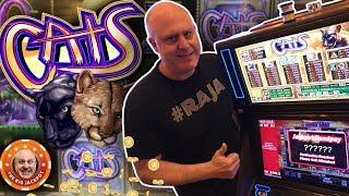 •MULTI-JACKPOT BLOWOUT! •Cats Slot is on Fire! •