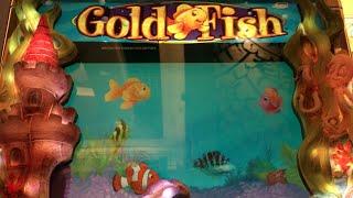 GOLD FISH F*ck Up ›««««º›  •LIVE PLAY• Slot Machine