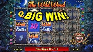 BIG WIN on The Wild Wood Slot - £1.50 Bet