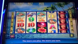 Aloha Paradise - Bonus - $2 Bet. First time playing this game.