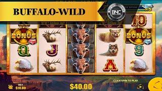 Buffalo Wild slot by Endemol Shine Gaming