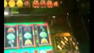 Bell Fruit - Video Casino Crazy Fruits £20 Top!! V450