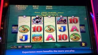 Whales of Cash - Bonus - $2.50 Bet. Another bonus.
