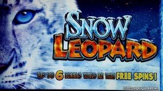 Snow Leopard Slot Big Win - Caught recording