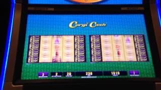 WMS' Corgi Cash Slot Machine, With 10 Bonus Spins