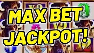 ⋆ Slots ⋆ MASSIVE HANDPAY ALERT!!!⋆ Slots ⋆ MAX BET BUFFALO REVLOUTION MEGA JACKPOT!