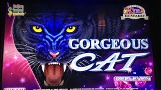 Konami- GORGEOUS CAT slot machine bonus Wins (2 videos)