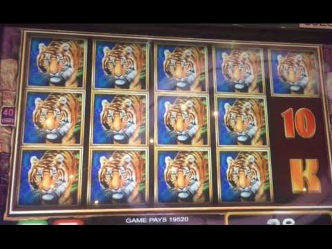Temple of the Tiger quick live play $8 bet ** SLOT LOVER **