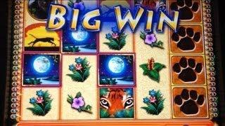 TIGER'S REALM slot machine Bonus WIN