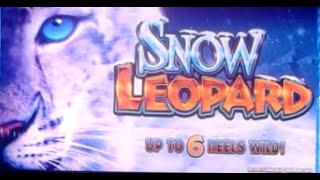 WMS -  Snow Leopard  : Mega Bonus on a $2.00 bet