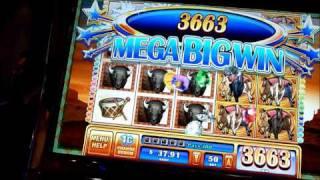 Wild Stampede Slot Machine Line Hit Win (queenslots)