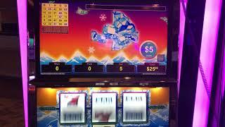 VGT Polar High Roller Hand Pay Jackpot - Peace Sign Pattern $50 Max Choctaw Gambling Casino