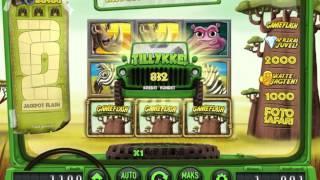 Safari - en spilleautomat med vilde dyr og gevinster