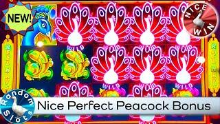⋆ Slots ⋆ New⋆ Slots ⋆️Coin Combo Perfect Peacock Slot Machine Nice Bonus