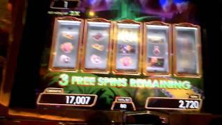 Glinda the Good Witch WOZ slot machine bonus win at Parx.