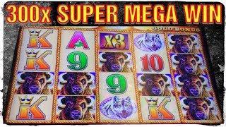 • SUPER MEGA WIN 300x BET • BUFFALO GOLD COIN SHOW • BONUS & RETRIGGER SLOT MACHINE •