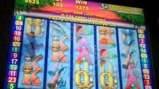 Grizzly Slot Machine Bonus Big Win