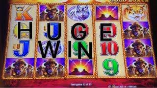 Buffalo Gold slot * HUGE WIN 200X bet * This machine was on FIRE !! Tripled up !!