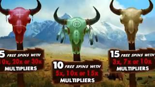 GREAT BISON Video Slot Game with a FREE SPIN BONUS