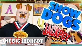 •Show Dogs •Best In Show JACKPOT! •️Twin Win 2 Fun | The Big Jackpot