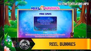 Reel Bunnies slot by ReelNRG
