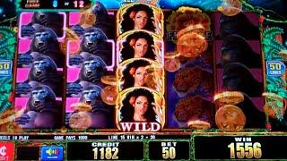 Ultra Stack Beauty in the Wild Slot Machine Bonus - 12 Free Games Win with Stacked Symbols