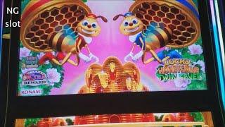 •LUCKY HONEYCOMB•  Twin Fever Slot Machine Bonus Win !! Live Play Slot Bonus Win