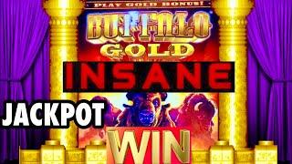 BUFFALO GOLD SLOT MASSIVE JACKPOT HANDPAY! CASINO GAMBLING! #SHORTS