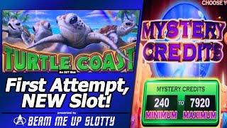 Turtle Coast Slot - First Attempt, New IGT China Shores type Slot