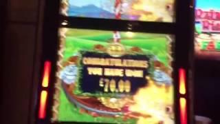 Rainbow highdive pots £70