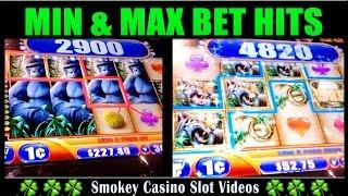 Queen of The Wild Slot Line Hits Min/Max Bet - WMS