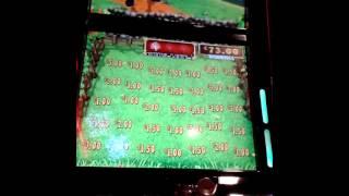 Rainbow riches fields of gold 3 of 3 toadstool feature slot.