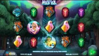 Great White Elk• - Onlinecasinos.Best