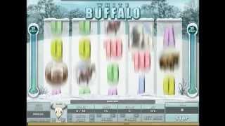 White Buffalo• - Onlinecasinos.Best