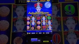 $20/Bet BONUS ⋆ Slots ⋆ Autumn Moon Dragon Cash ⋆ Slots ⋆ Slot Machine #shorts