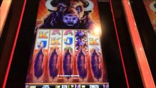 BUFFALO STAMPEDE slot machine AMAZING 94 FREE SPIN BONUS! CHASING A $66,000 MAJOR!