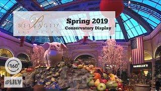 BELLAGIO LAS VEGAS 360 - Spring 2019 Conservatory