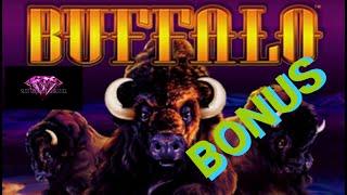 BUFFALO•**BONUS WIN!!** 10c - ARISTOCRAT SLOT MACHINE