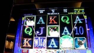Kitty Glitter Slot-free Spins-big Win- Handpay Of $3930.00