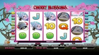 Cherry Blossoms ™ Free Slots Machine Game Preview By Slotozilla.com