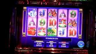 Treasure Tree slot bonus win at Sands Casino in PA