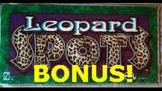 Leopard Spots - IGT Slot Machine Bonus - An Old Classic!