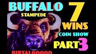 BUFFALO STAMPEDE slot machine 7 WINS COIN SHOW  (Part 3)