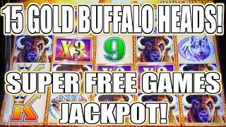 15 GOLD BUFFALO HEADS WINS BIG JACKPOT ON SUPER FREE GAMES!