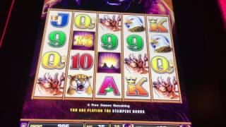 Buffalo Stampede Slot Machine ~ FREE SPIN BONUS! ~ KEWADIN CASINO! • DJ BIZICK'S SLOT CHANNEL