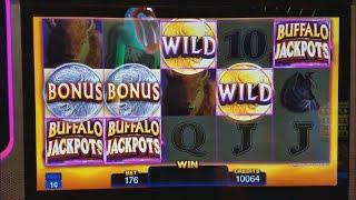 Buffalo Jackpots Slot Machine Bonus and Progressive Pick  Win !!!!