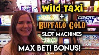 WILD Taxi Slot Machine Max Bet! Buffalo Gold BONUS!