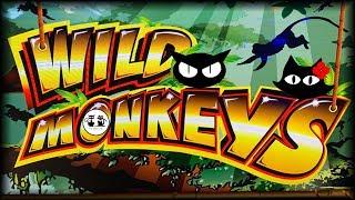 Wild Monkeys • The Slot Cats •