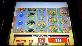 Running Wild Slot Machine Bonus Win (queenslots)