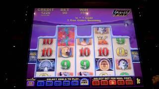 Artic Dreaming Bonus Win on Penny Slot Machine